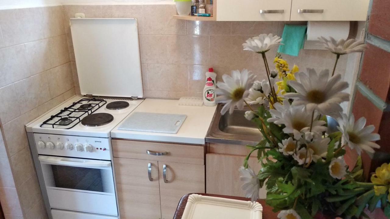 Apartmán Ivo Veliko Brdo *