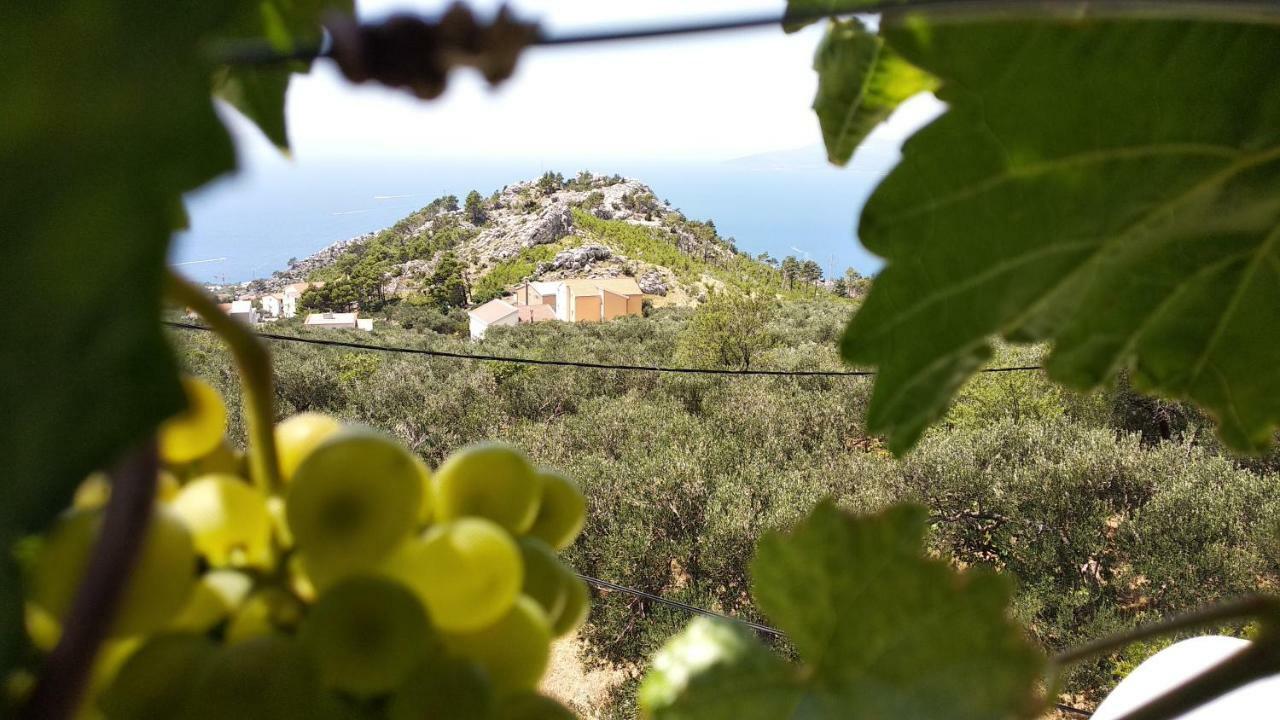 Ivo Veliko Brdo Makarska